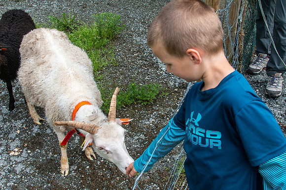 Norway Vacation 2019-65