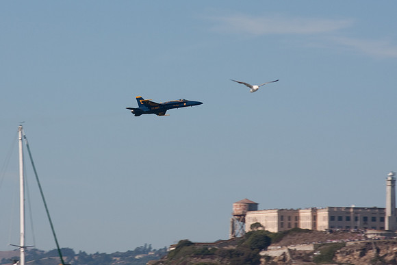 Blue Angels-13