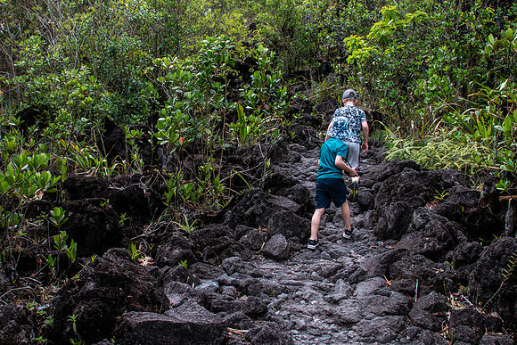 Arenal 1968 Lava Trail - Costa Rica 2022-35