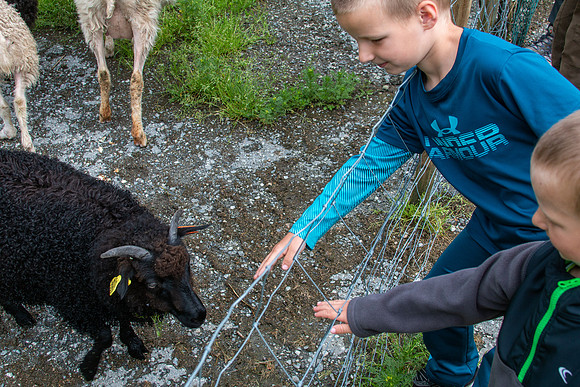Norway Vacation 2019-64