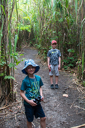 Arenal 1968 Lava Trail - Costa Rica 2022-31