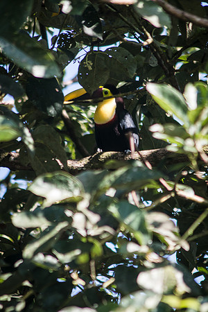 Costa Rica 2018-2