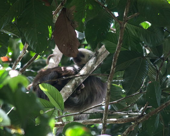 Costa Rica 2018-31