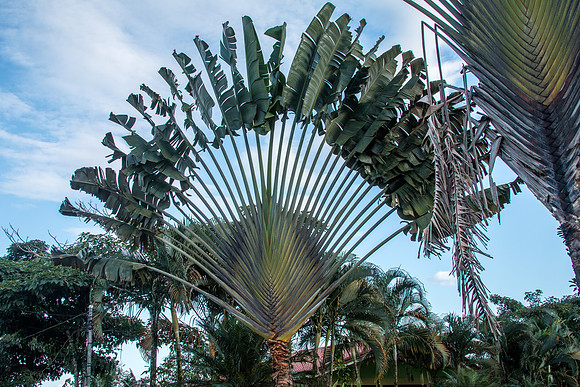 Costa Rica 2018-52