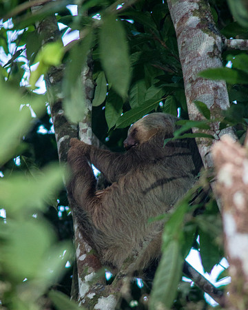 Costa Rica 2018-56