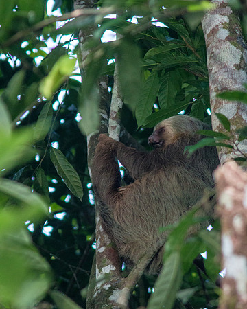 Costa Rica 2018-57