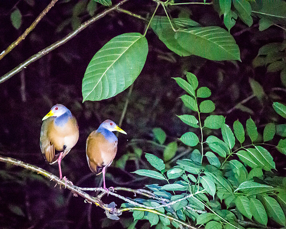 Costa Rica 2018-64