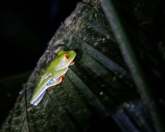 Costa Rica 2018-72