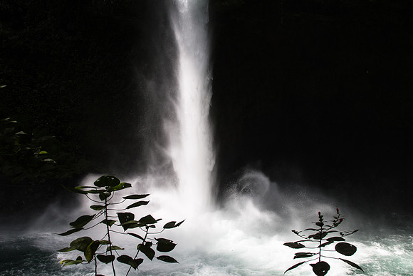 Costa Rica 2018-80