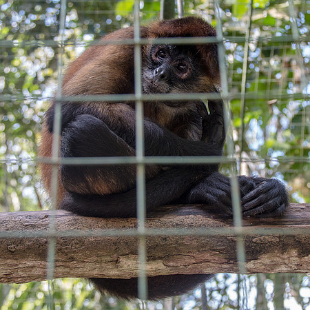 Costa Rica 2018-104