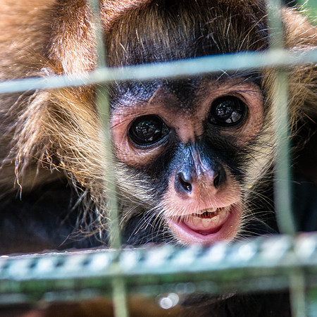 Costa Rica 2018-107