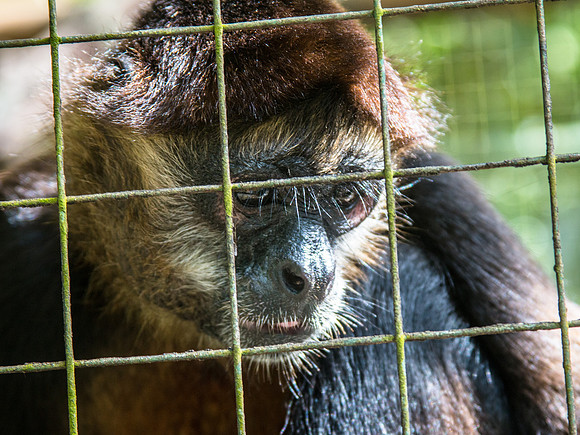 Costa Rica 2018-109