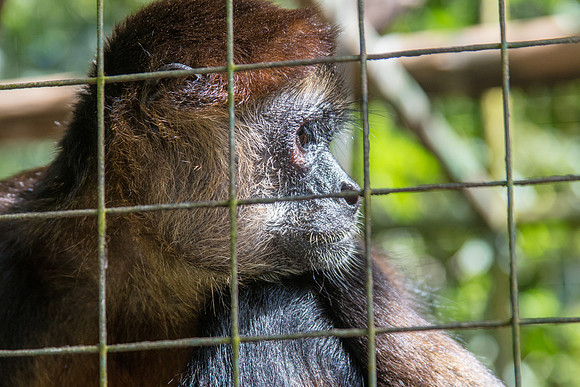 Costa Rica 2018-111