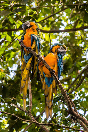 Costa Rica 2018-114
