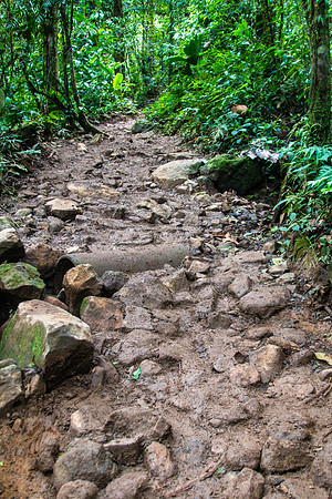 Costa Rica 2018-123