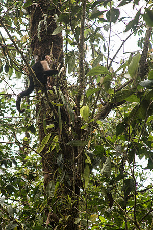 Costa Rica 2018-124