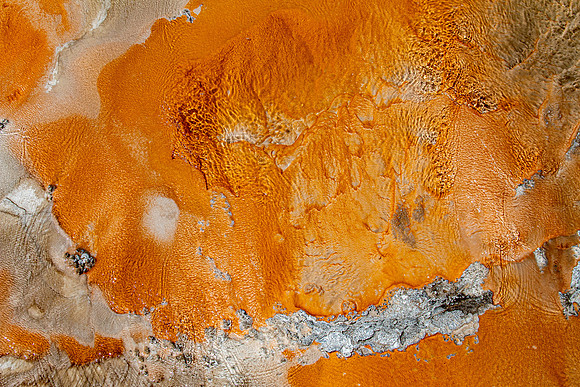 Yellowstone 2021-7
