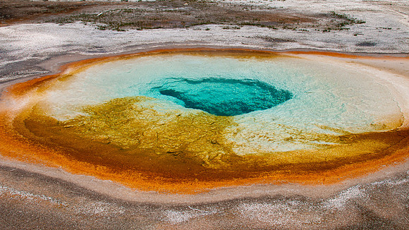 Yellowstone 2021-8