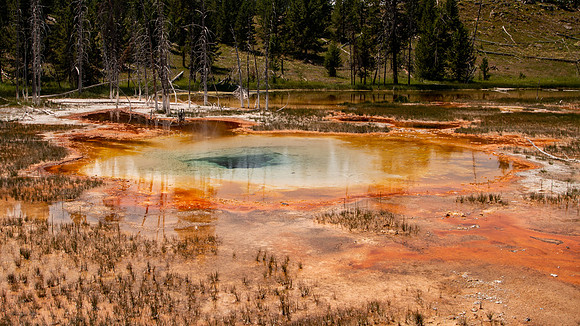 Yellowstone 2021-11