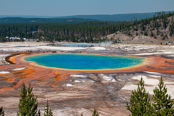Yellowstone 2021-15