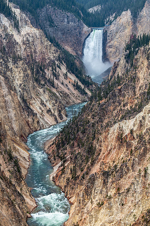 Yellowstone 2021-22