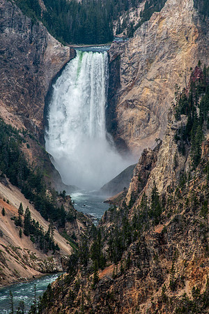 Yellowstone 2021-24