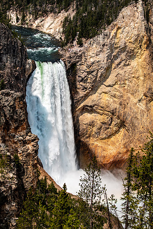 Yellowstone 2021-28