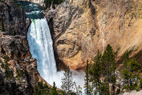 Yellowstone 2021-29