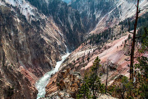 Yellowstone 2021-34