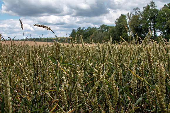 Lithuania 2018-38