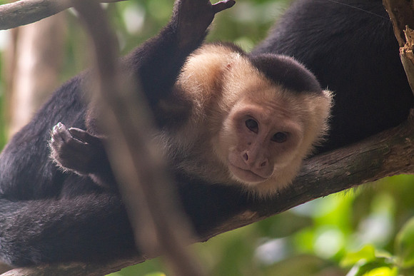 Costa Rica 2020-55