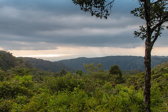 Costa Rica 2020-137