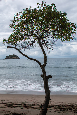 Costa Rica 2020-41