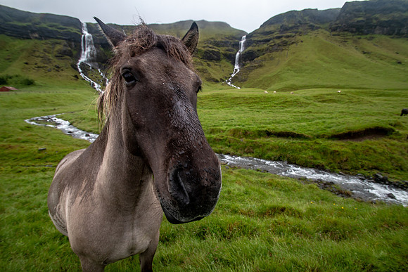 Iceland 2018-87