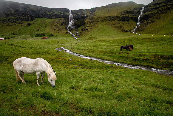 Iceland 2018-84