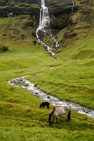 Iceland 2018-77