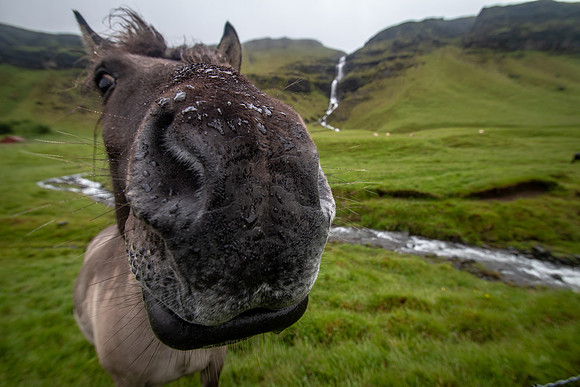 Iceland 2018-88