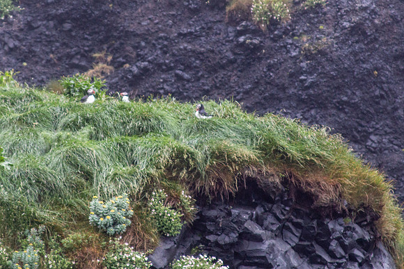 Iceland 2018-65