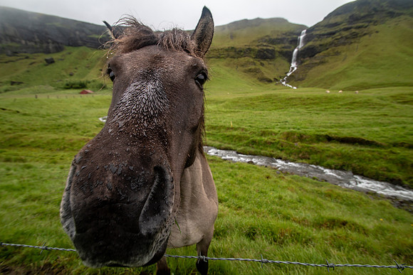 Iceland 2018-86