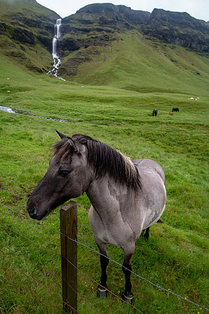 Iceland 2018-81