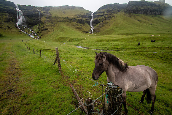 Iceland 2018-83