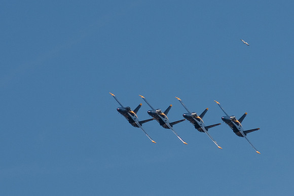 Blue Angels-4