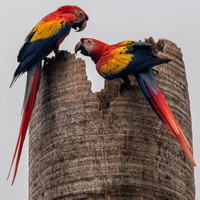 Costa Rica 2022