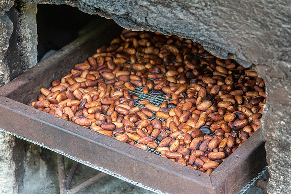 Cocoa Beans roasting - Costa Rica 2022-58