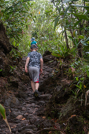 Arenal 1968 Lava Trail - Costa Rica 2022-32